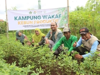 Rumah Wakaf Kembangkan Kampung Wakaf Kebun Produktif untuk Kuatkan Sosial Ekonomi