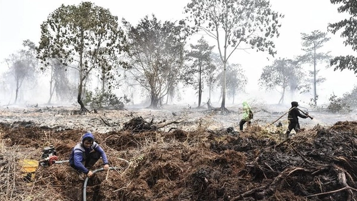 Kebakaran Gambut Sulit Padam yang Sudah Tembus 16.474 Hektare, Menhut RI: Korporasi di Riau Stop Bakar Lahan
