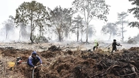 Kebakaran Gambut Sulit Padam yang Sudah Tembus 16.474 Hektare, Menhut RI: Korporasi di Riau Stop Bakar Lahan