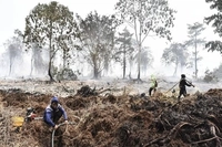 Kebakaran Gambut Sulit Padam yang Sudah Tembus 16.474 Hektare, Menhut RI: Korporasi di Riau Stop Bakar Lahan