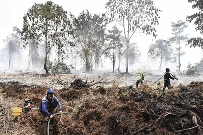Kebakaran Gambut Sulit Padam yang Sudah Tembus 16.474 Hektare, Menhut RI: Korporasi di Riau Stop Bakar Lahan