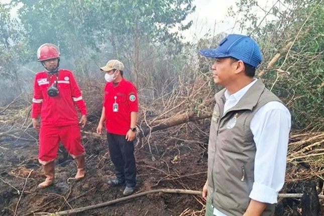 Sumsel dan Riau Masuk Zona Merah karena Dikepung Karhutla yang Sudah Melonjak