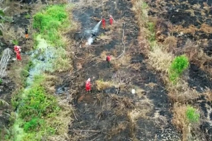 Kasus Karhutla Jerat Puluhan Tersangka di Riau yang Penyidikannya Tidak Berhenti hanya Dilokasi, 'Tapi dalam Konsesi Perusahaan Dinilai Masih Lemah'