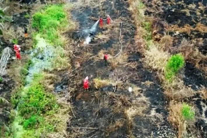Kasus Karhutla Jerat Puluhan Tersangka di Riau yang Penyidikannya Tidak Berhenti hanya Dilokasi, 'Tapi dalam Konsesi Perusahaan Dinilai Masih Lemah'