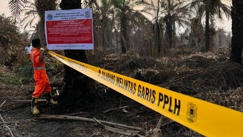 KLH Buru 19 Perusahaan Terlibat Karhutla yaang Hanguskan 11.046,69 Hektare Sepanjang Januari hingga Agustus 2026