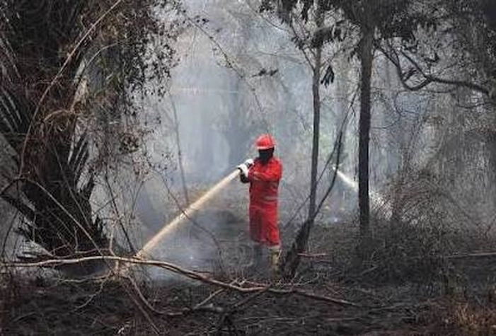 Pegiat Lingkungan Curiga Karhutla Membara di Lahan Gambut Kalimantan Tengah yang Diduga Sengaja Dibakar