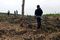 Ribuan Hektare Lahan di Areal HGU Perusahaan Diperdebatkan, 'Buat Hak Warga Terancam Hilang'
