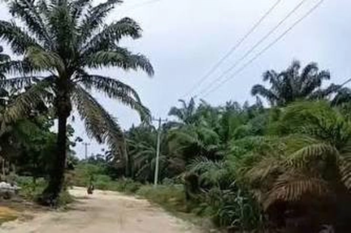 Dewan Minta Pemko Fokus Bangun Wilayah Pinggiran Pekanbaru