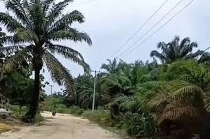 Dewan Minta Pemko Fokus Bangun Wilayah Pinggiran Pekanbaru