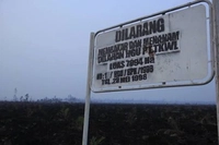 Pemerintah Kembali akan Periksa HGU Perusahaan yang Melenceng dari Aturan, DPR RI: Kalau Caplok Lahan Rakyat Izinnya Bisa Dicabut 