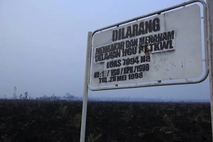 Pemerintah Kembali akan Periksa HGU Perusahaan yang Melenceng dari Aturan, DPR RI: Kalau Caplok Lahan Rakyat Izinnya Bisa Dicabut 