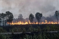Menhut Prioritaskan Penanganan Karhutla dengan Gunakan Tambahan 1.000 Polhut Bersama Manggala Agni, Pemda, TNI, Polri, BNPB, BPBD, MPA dan Relawan 