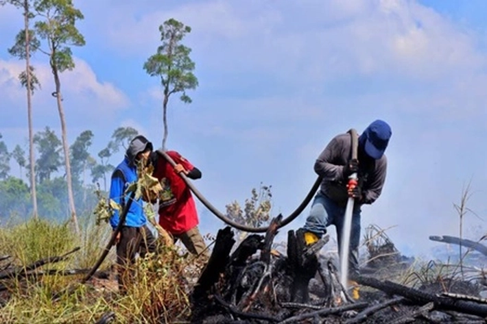Karhutla Mulai Terkendali, Tapi Masih ada 3 Hotspot Tingkat Tinggi yang Terdeteksi di Riau
