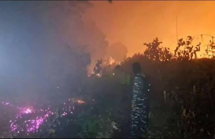 Bengkalis dan Pelalawan Paling Kritis pada Bencana Ekologis yang Sudah Hanguskan Lahan 19 Ribu Hektar