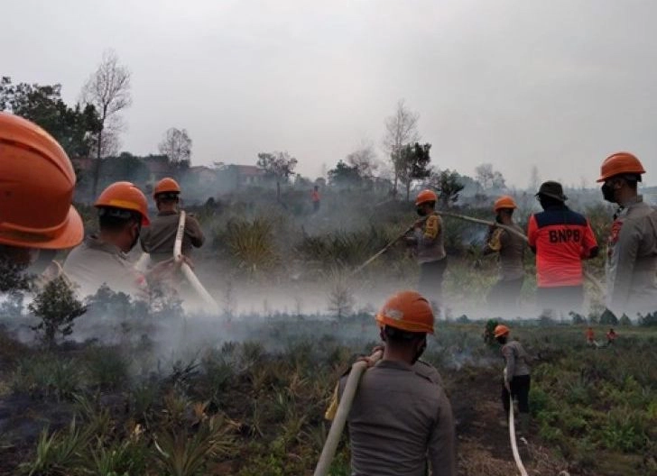 BPBD Riau Siagakan Personel di Bekas Karhutla karena Khawatir Api Kembali Menyala