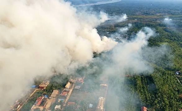 Kejahatan Pembakaran Lahan Rugikan Masyarakat dan Negara, Walhi: 'Korporasi yang Terlibat Kita Laporkan dan mereka Harus Bertanggung Jawab'