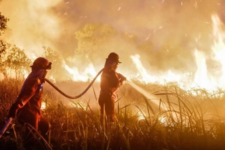 El Niño Bukan Penyebab Langsung Kebakaran, Pakar Bidang Karhutla: 'Kepatuhan Pengelola Jadi Sorotan'