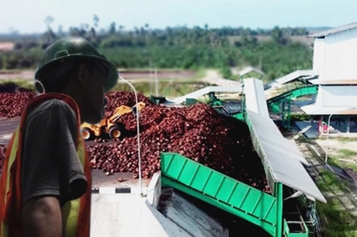 GAPKI Soroti PKS Tanpa Kebun Marak yang Miliki Risiko Terima Pasokan Sawit Hasil Curian