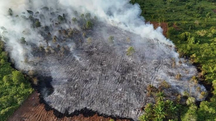 Area Gambut di Siak Terbakar Lagi yang Diduga karena ada Pembukaan Lahan Baru