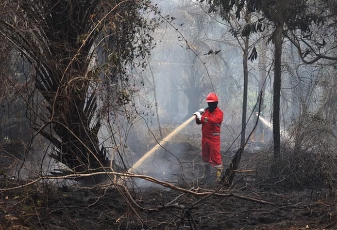 Hotspot Sumatera Turun dan Riau Hanya Tinggal 67 Titik