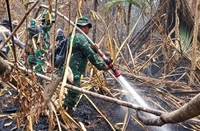 Kebakaran Hutan dan Lahan Terjadi di Penyangga SM Kerumutan yang Sudah Hanguskan 471,39 Hektare