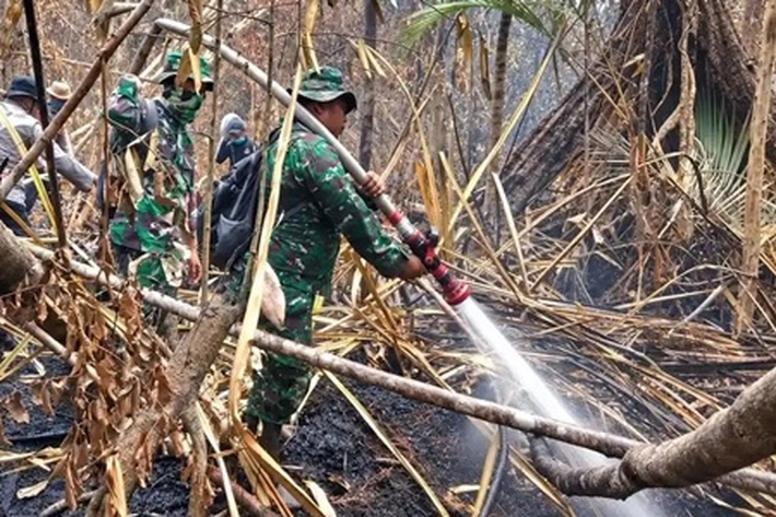 Kebakaran Hutan dan Lahan Terjadi di Penyangga SM Kerumutan yang Sudah Hanguskan 471,39 Hektare