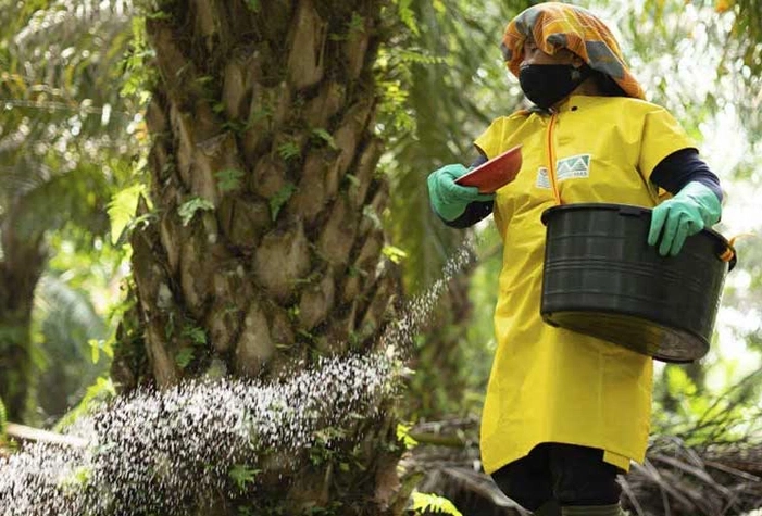 Program Pola KKPA Musim Mas Berhasil Angkat Perekonomian Masyarakat Tempatan, 'Buat Keuangan Petani Jadi Meningkat' 