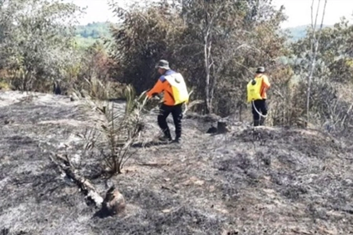Hotspot Riau Turun Drastis dan Nol Titik Api, BPBD Riau: Tapi Bisa Saja Kembali Muncul Saat Kondisi Kering