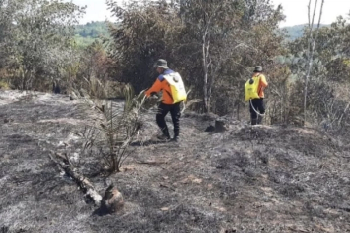 Hotspot Riau Turun Drastis dan Nol Titik Api, BPBD Riau: Tapi Bisa Saja Kembali Muncul Saat Kondisi Kering