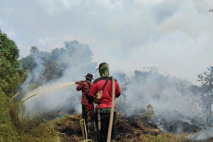 Hotspot Sumatera Naik Tajam yang Capai 3.734 Titik, 'Bisa Buat Riau Kembali Dilanda Asap Karhutla yang Lebih Dahsat'