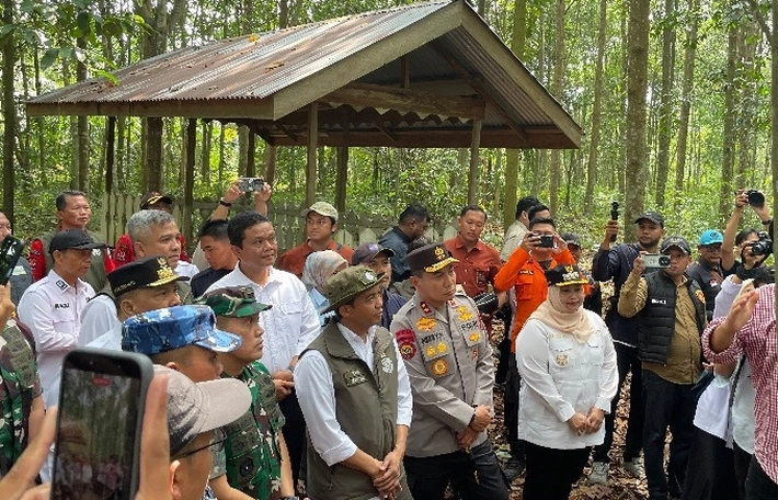 Menhut Dorong Tanjung Leban Bengkalis Jadi Restorasi Gambut Dunia, 'yang Bisa Jadi Contoh Laboratorium Hidup'