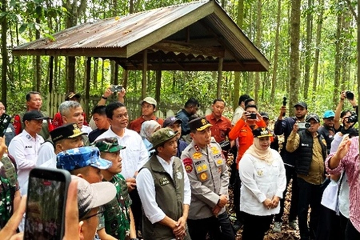 Menhut Dorong Tanjung Leban Bengkalis Jadi Restorasi Gambut Dunia, 'yang Bisa Jadi Contoh Laboratorium Hidup'