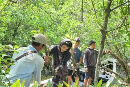 Capaian Restorasi Gambut di Wilayah Riau Tembus Sekitar 451 Ribu Hektare