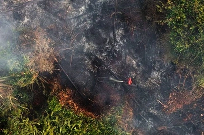 Hujan Lebat Diharapkan Turun Agar 'Menghanguskan' 3.452 Titik Panas di Wilayah Sumatera