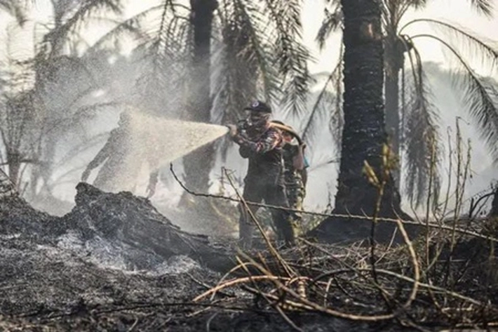 Karhutla Terus Berulang Buat 'Pulau Sumatera Tak Bisa Bebas dari Kabut Asap', Walhi: 'Perusahaan Tidak dapat Dipisahkan dari Praktik Eksploitasi'