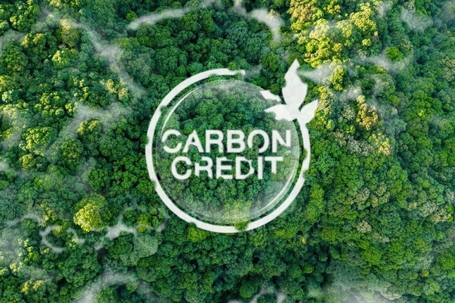 Potensi Kredit Karbon Riau Capai 11,7 Juta Ton CO₂e per Tahun yang Nilainya Bisa Rp4,21 Triliun