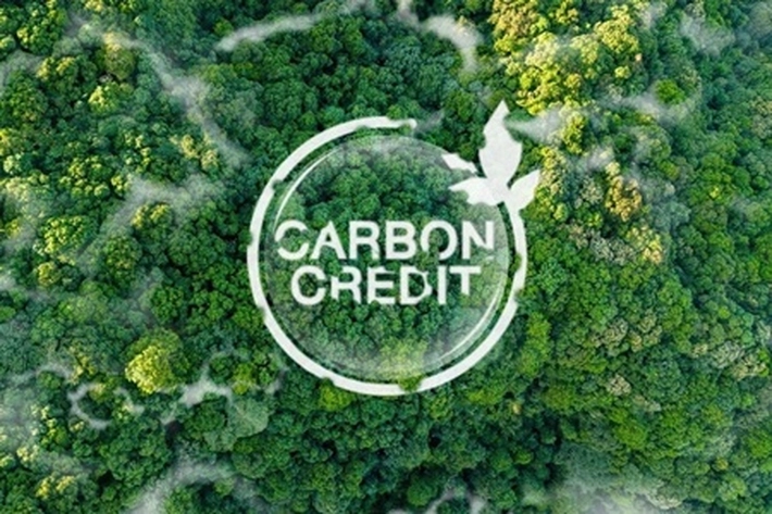 Potensi Kredit Karbon Riau Capai 11,7 Juta Ton CO₂e per Tahun yang Nilainya Bisa Rp4,21 Triliun