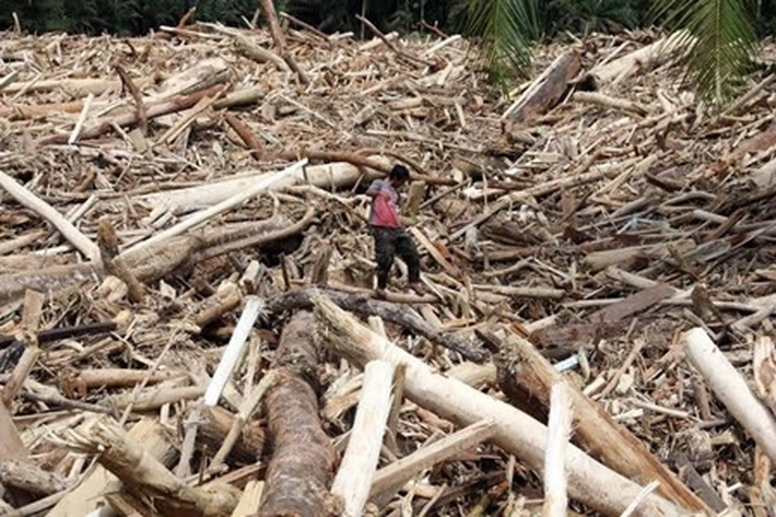 Sumatera Kembali Diterjang Banjir dan Longsor, 'yang Pemulihan Ekologisnya Belum Tuntas'