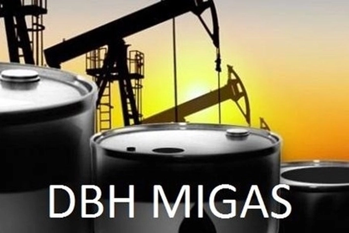 Dewan Minta Menkeu Evaluasi Kembali Skema DBH Migas