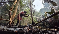 Ribuan Titik Panas Kepung Sumatera Buat Riau Masih Terus Diselimuti Asap