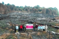Kemenhut Jatuhkan Sanksi 32 Perusahaan yang Tersangkut Kebakaran Hutan
