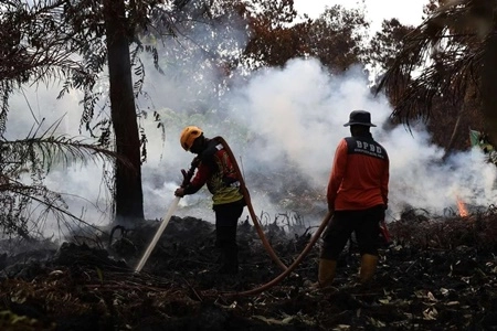 Tiga Korporasi 'Modal Asing' Tersangka Karhutla, Walhi: 'Pemerintah Tetap Jadi Pihak Utama yang Bertanggung jawab'