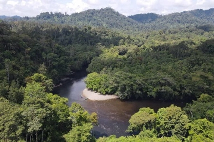 Kampung-kampung di Kalimantan Timur Hampir Semua Menerima Dana Proyek Pengurangan Emisi Karbon