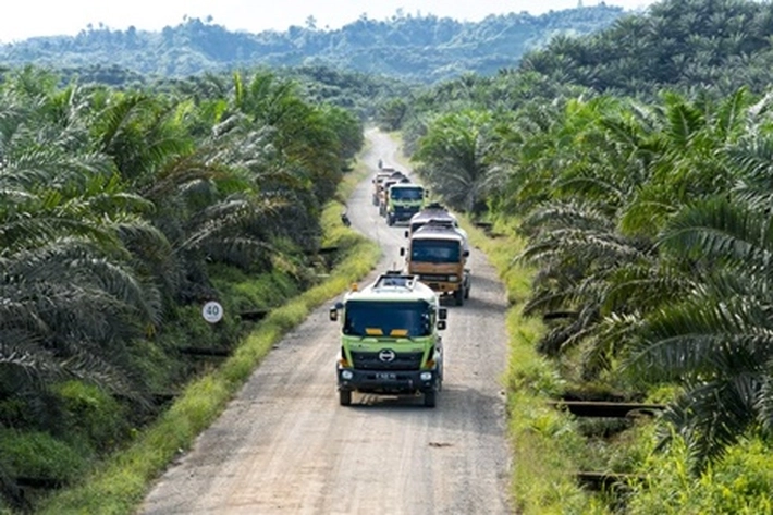 Kinerja PT Astra Agro Lestari Tumbuh Signifikan hingga Kuartal III 2026
